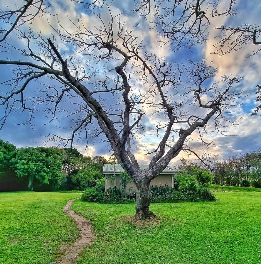 Oppieplaas Country Estate Haga Haga Exterior foto