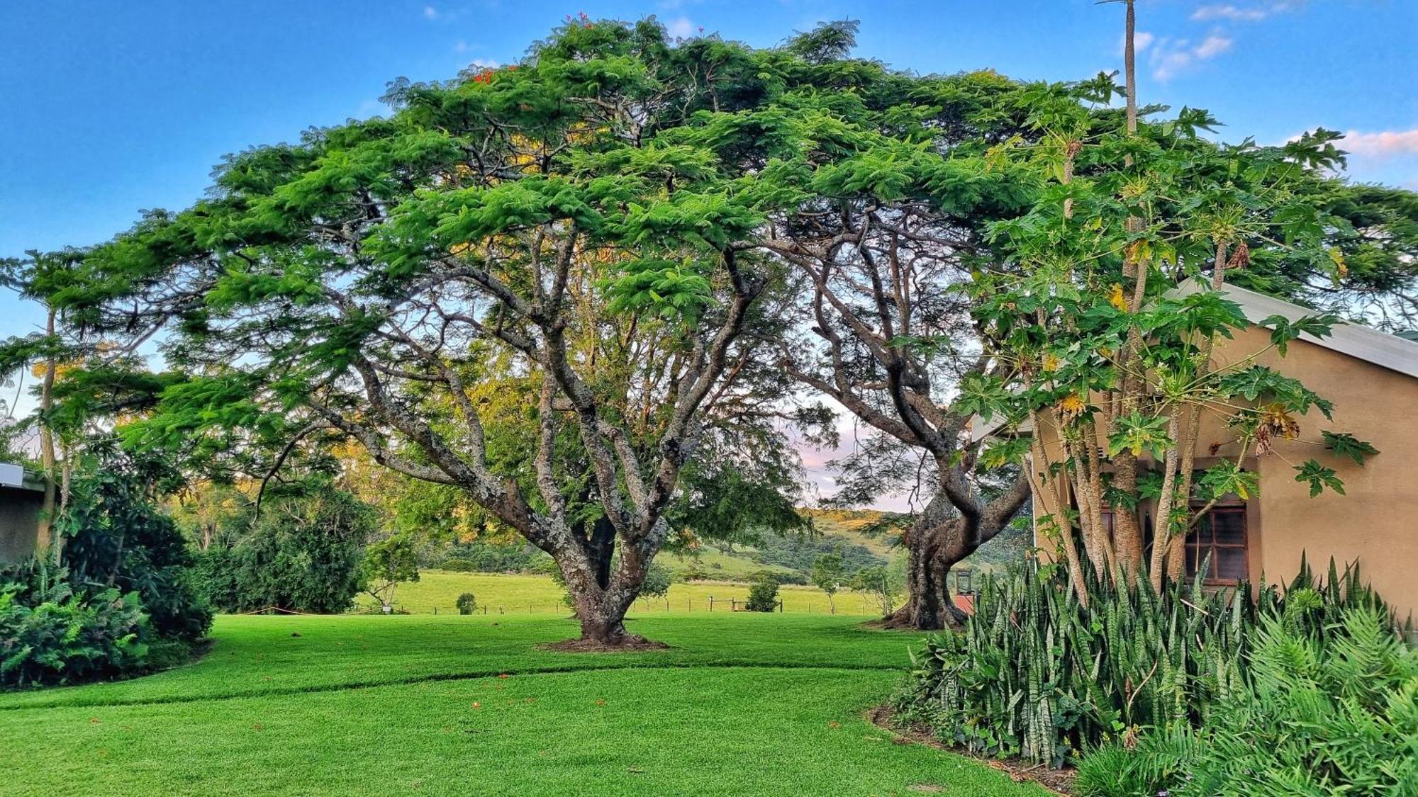 Oppieplaas Country Estate Haga Haga Exterior foto